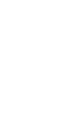 Bangs and Whiskers White Logo